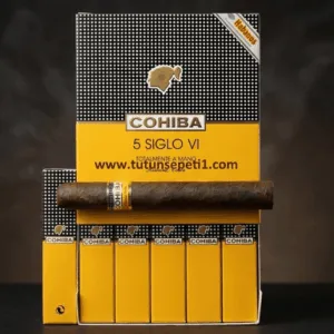Cohiba Aniversario 5 Siglo - 5's Gift Pack DOMİNİC