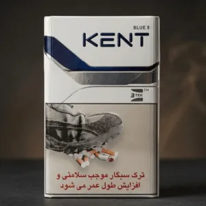 Kent Blue 8 ithal sigara