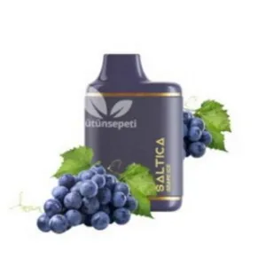Saltica 7000 Grape Ice Puff - Leather Series