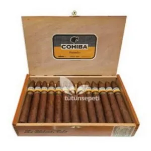 Cohiba Piramides Puro - 25's Ahşap Kutu DOMİNİC