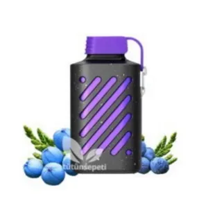 Vozol Gear 10000 Cedar Berries Puff