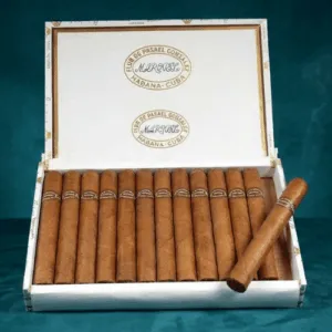 Rafael Gonzalez Petit Coronas Extra 25's Puro FREESHOP